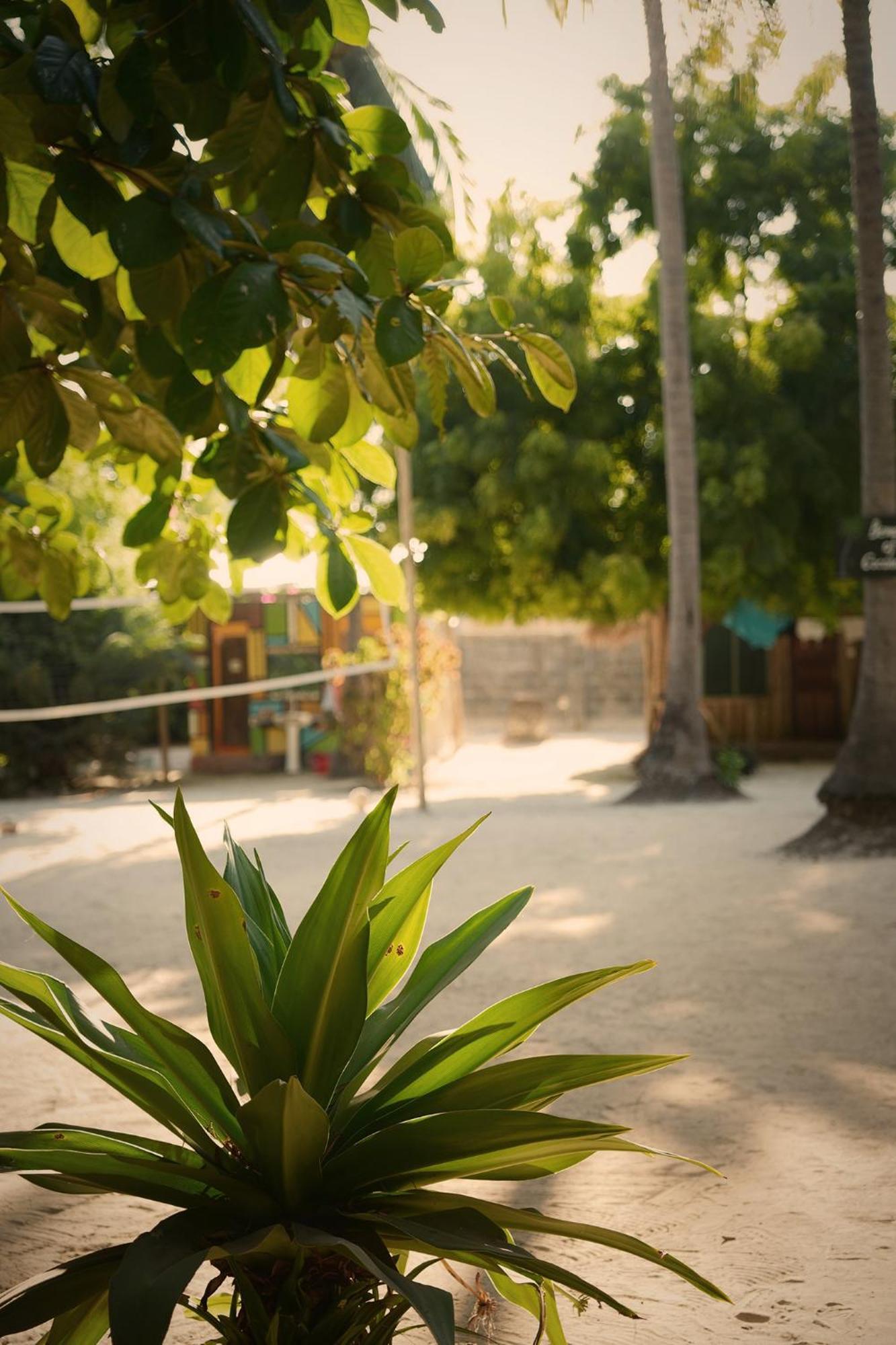 Your Zanzibar Place 파제 외부 사진